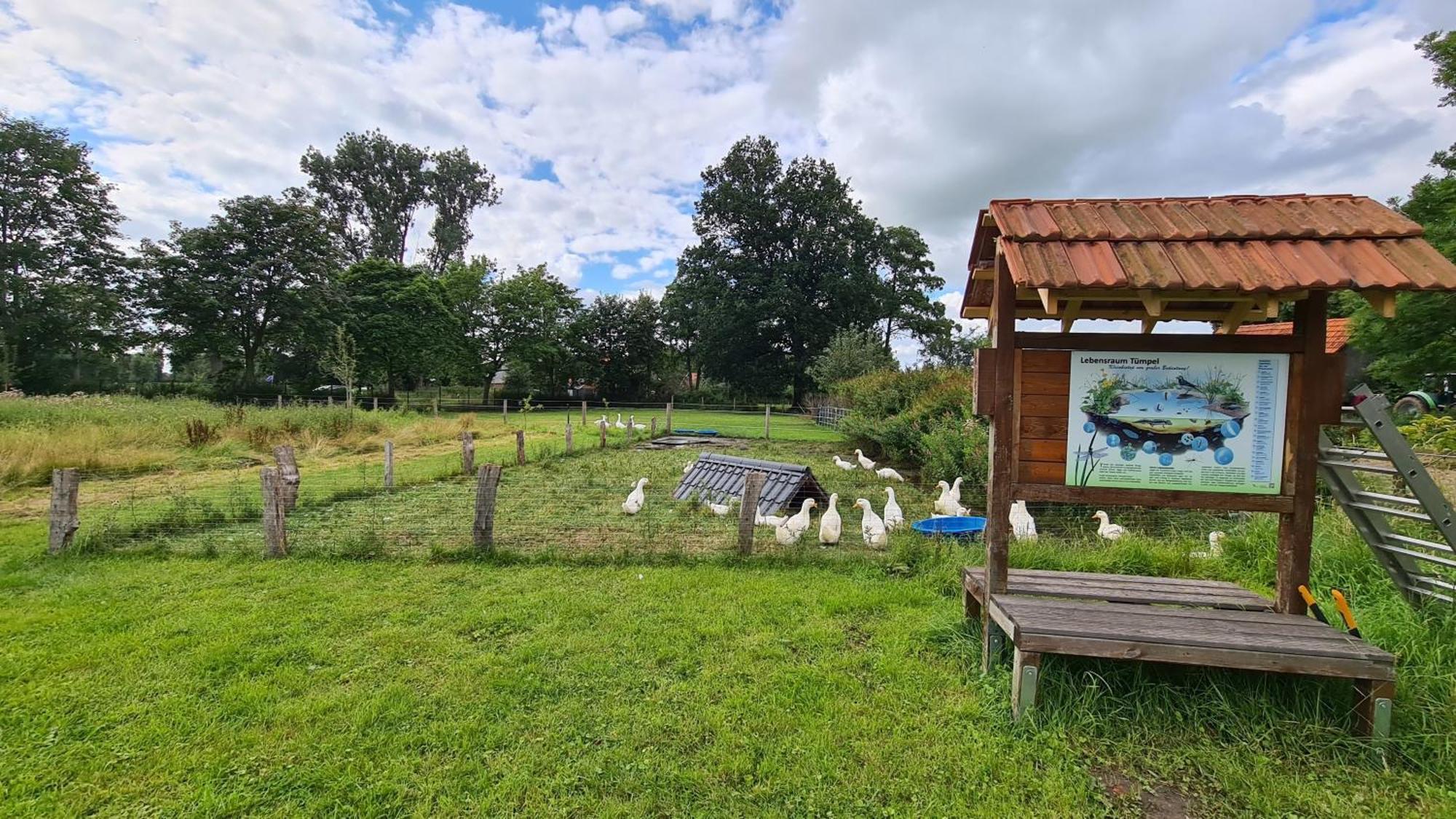 Naturhof Buschwiesen - Wohnung Lama Wilsum 외부 사진